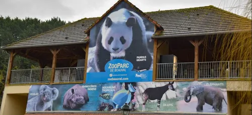 Un centre de dépistage COVID au ZooParc de Beauval dès ce mercredi
