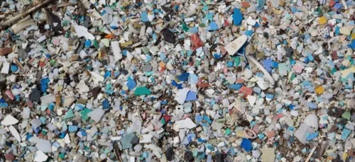 Loiret : qu’est-ce que c’est que ce champ de déchets ?