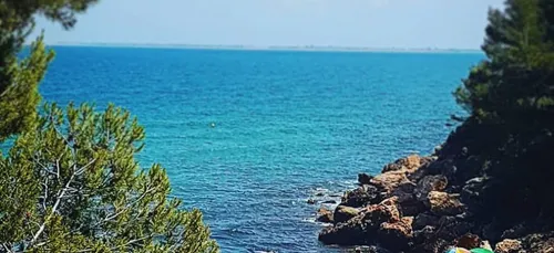 Beaune-La-Rolande : Des collégiens en vacances grâce à un don