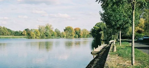 Loir-et-Cher : son chien mort, la maîtresse accuse la pollution