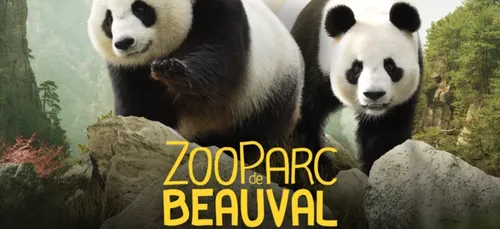 Grâce à la « Pandamania », ça recrute au Zoo Parc de Beauval !
