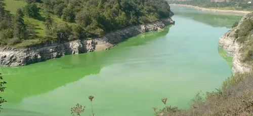 Maine-et-Loire : fin de l’interdiction de pêcher à cause des...