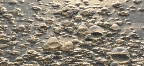 Les rivières de France sont dans un état calamiteux