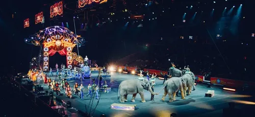 Limoges : le cirque Zavatta s’installe illicitement dans la ville