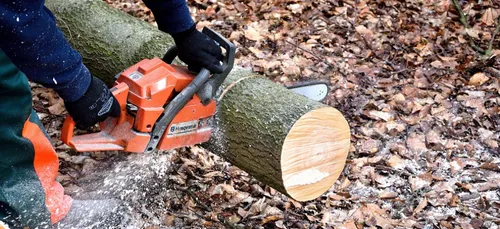 Bientôt un " permis tronçonneuse " obligatoire !