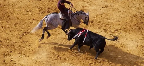 La SPA contre les actes barbares
