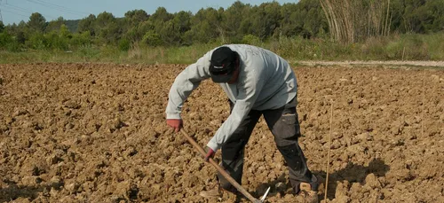 3000 agriculteurs charentais devront rembourser une partie de leurs...