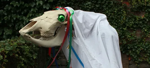 Top 3 des traditions étranges de Noël