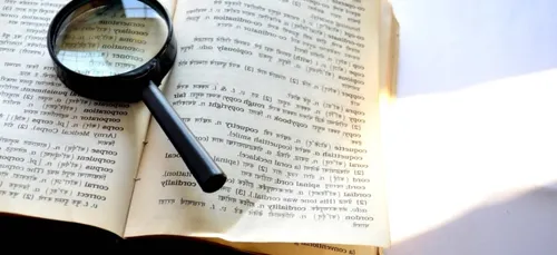 Top 3 des pires mots francisés