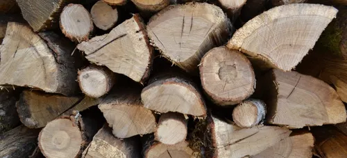 Convoqués à la gendarmerie pour avoir vendu du bois !