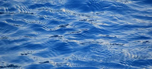 Cognac accueillera son centre aquatique en avril prochain