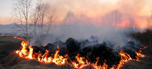 Charente : l'incendiaire du Confolentais condamné