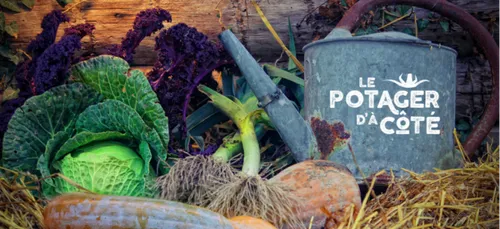 Charente : un site pour acheter/vendre des légumes à vos voisins !