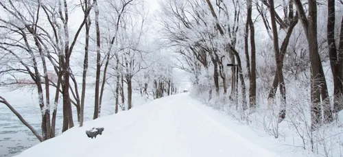 Neige : écoles, SNCF, transports en commun, on fait le point !