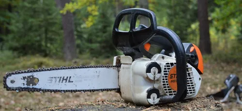 Angers : quatre jeunes de 13 ans volent des tronçonneuses à un...