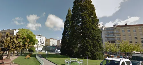 Limoges : perché sur un haut sapin, il chante le répondeur de la...