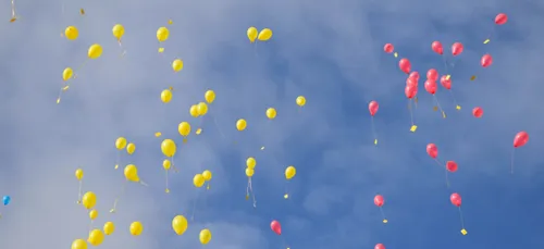 Loiret : 907 378 euros récoltés pour le Téléthon 2017