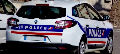 Saint-Léonard-de-Noblat : 60 pieds de cannabis saisis chez un...