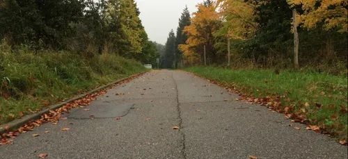Loiret : un appel à témoins pour retrouver un adolescent de 12 ans