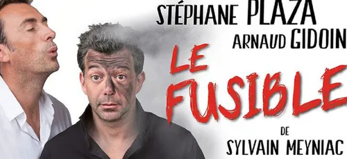 Stéphane Plaza : entièrement nu pour sa dernière représentation au...