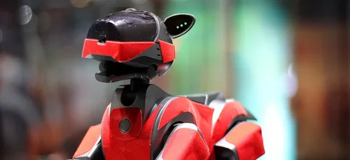 Japon : des obsèques pour chien robot