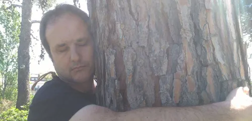Faire des câlins aux arbres peut vous rapporter 100€ !
