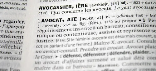 Voici les nouveaux mots des dictionnaires en 2019