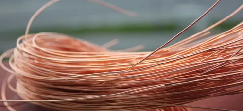 Soyaux : six voleurs surpris en flagrant délit par des policiers    