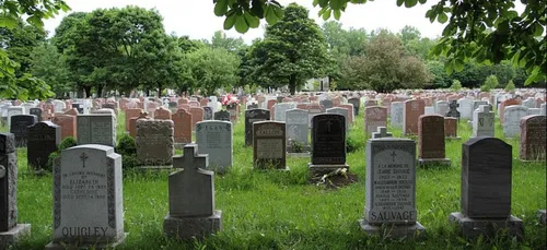 Indre-et-Loire : une trentaine de tombes vandalisées