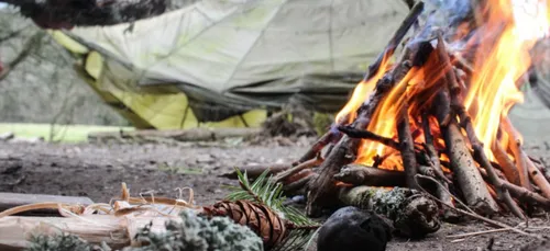 Un ex-militaire reconverti en voleur se cachait dans la forêt...