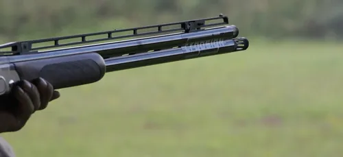 Charente : le meurtrier présumé du paysan britannique a été écroué