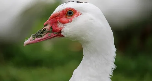 Emploi : le groupe « Grimaud frères » recrute dans plusieurs...