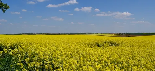 Châtillon-sur-Loire : Un champ de 1 000 m² incendié