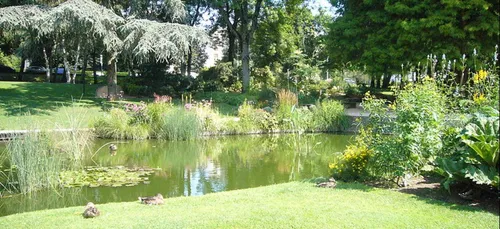 Limoges : Un homme agressé près du parc du Moulin Pinard