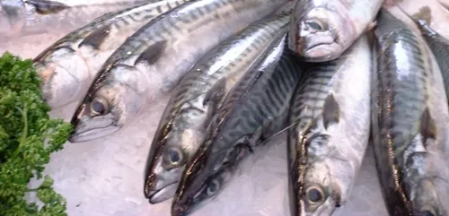 Des poissonniers marseillais verbalisés pour ne pas avoir étiqueté...