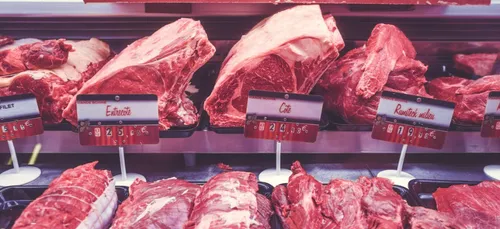 Angers : des vegans dégradent une boucherie