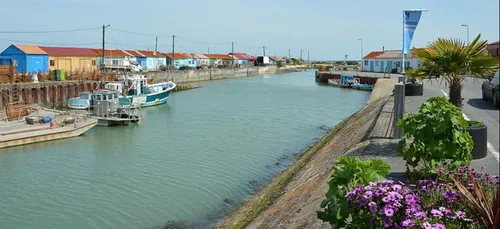 Île d’Oléron : Il se blesse gravement en heurtant une poubelle