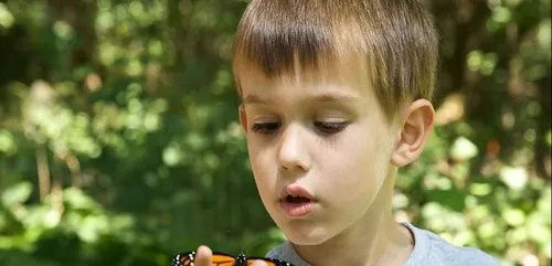 Il obtient son bac à 8 ans