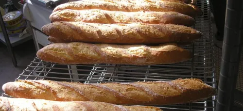 Maine-et-Loire : 6 jeunes volaient des baguettes de pain