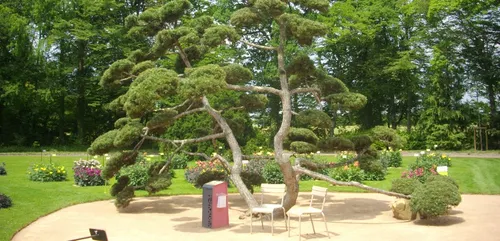 Orléans : le parc floral de La Source va faire de la place au tourisme