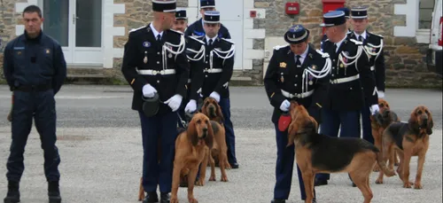 Jonzac : quand le chien des gendarmes retrouve la trace du pyromane