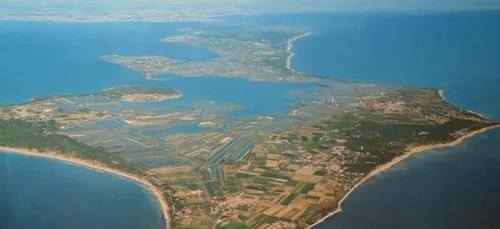 Ile de Ré : la saisonnière est décédée des suites de ses blessures