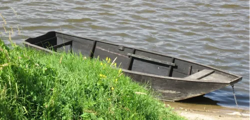Anjou : Les milieux aquatiques victimes de la pollution