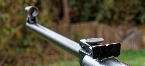 Loiret : il tire par erreur sur une passante