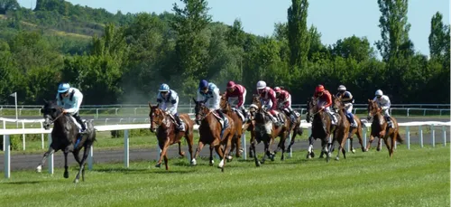 Angoulême : plusieurs chevaux euthanasiés suite à une course à...
