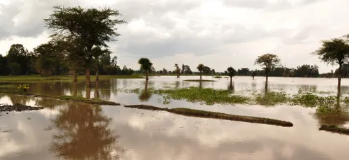 Loiret : l'état de catastrophe naturelle reconnu pour de nombreux...