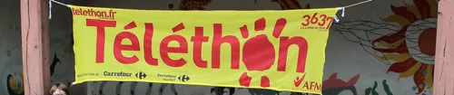 Téléthon : quel bilan dans nos régions