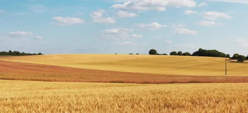 Haute-Vienne : l’état de calamité agricole reconnu