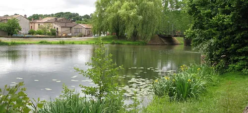 Vienne : une voiture tombe dans la Vonne