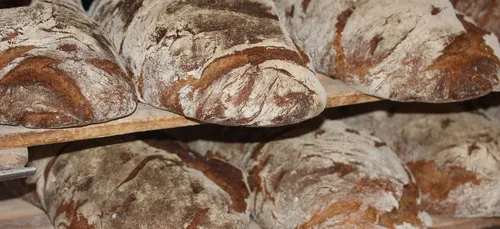 Deux-Sèvres : il menace un boulanger qui le réveille en klaxonnant